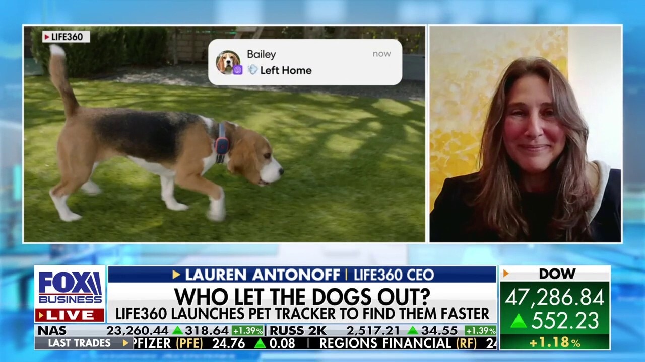 Life360 launches pet tracker to find furry family members faster