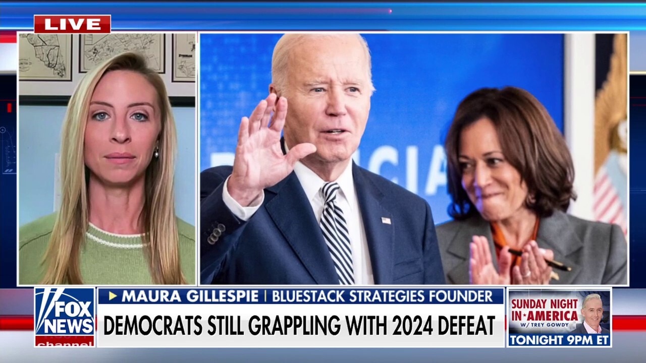  Political strategist says the ‘trustworthy factor’ cost Kamala Harris and Democrats 2024 elections