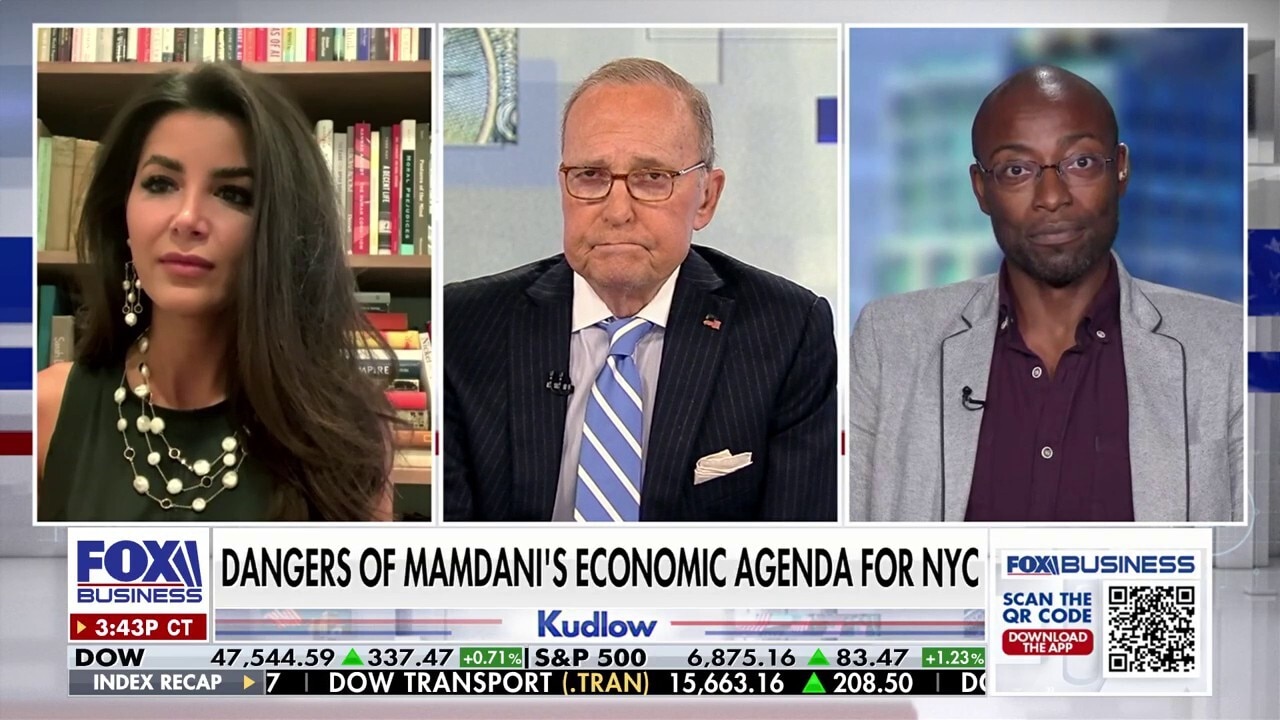 Zohran Mamdani 'has no platform,' says California assemblywoman