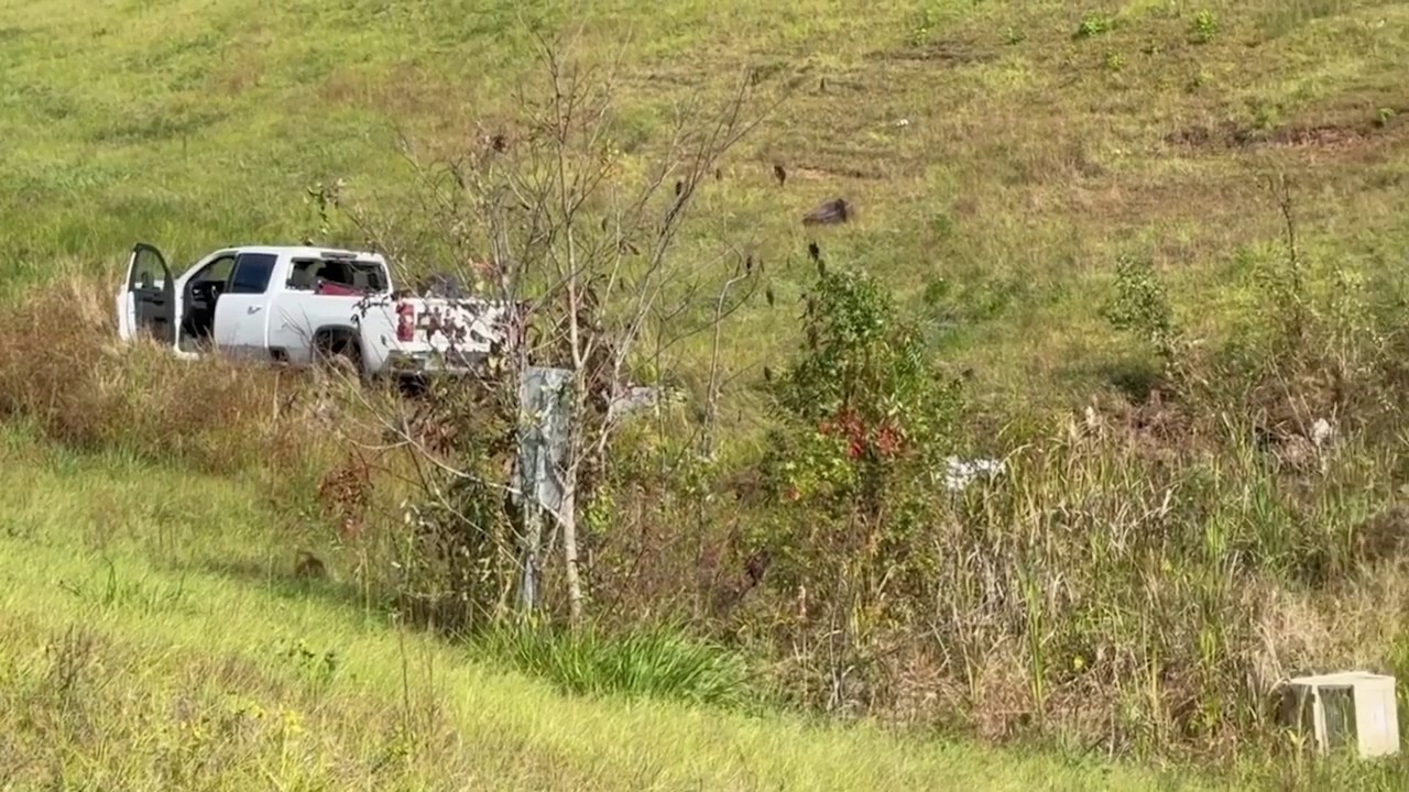 'Aggressive' research monkeys escape after Mississippi truck crash 