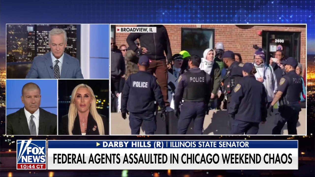 We need to 'work with federal law enforcement' to remove violent criminals: Sen. Darby Hills
