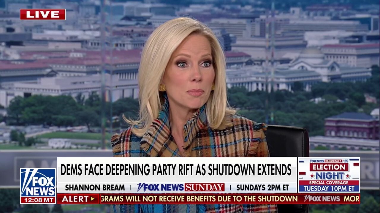 Military pay situation ‘appalling’ as SNAP funding fight intensifies: Shannon Bream