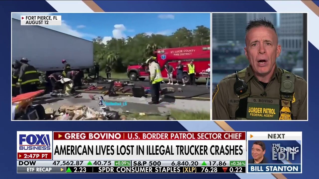 US Border Patrol chief says it is 'like a goose chase' trying to find these people