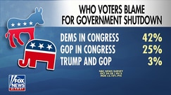 Democrats blamed for government shutdown according to new polls