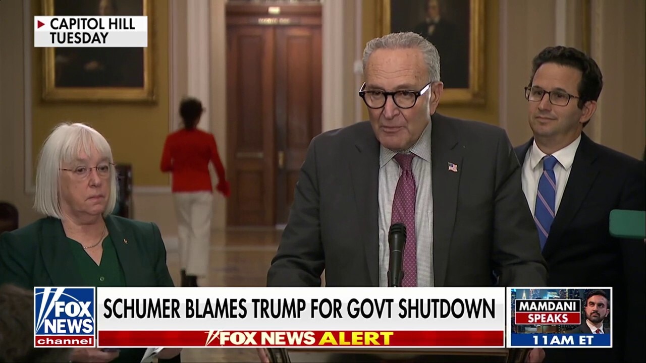 Schumer claims he's been asking Trump to get involved with shutdown 'for months'