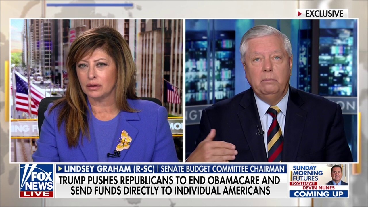 Lindsey Graham calls out Democrats’ ‘political terrorism’ as Senate GOP aims to end shutdown