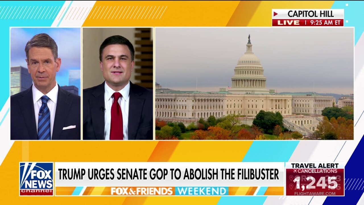 Senate Republicans need to 'stand with' Trump: GOP Senate candidate