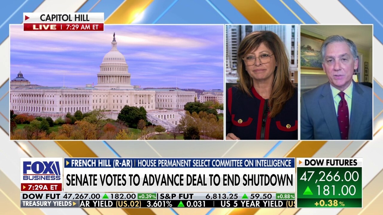 Schumer led Democrats ‘off into the desert’ in shutdown, Rep. French Hill says