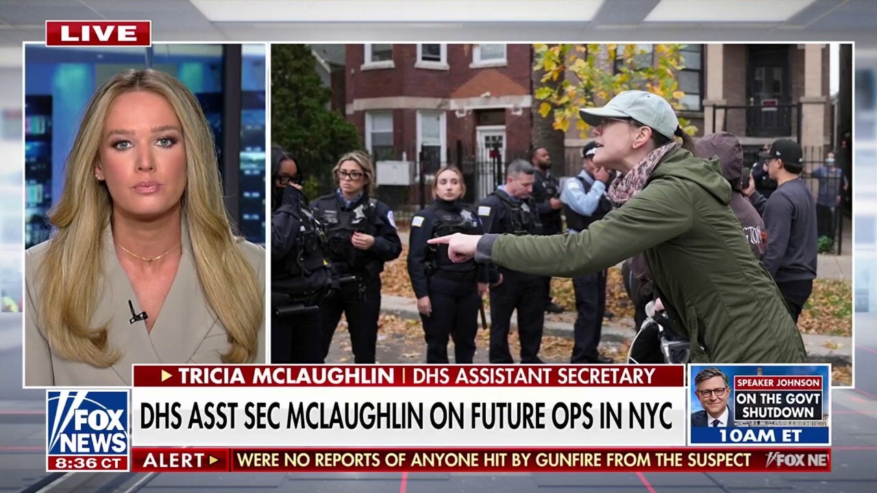  Tricia McLaughlin sounds alarm on ‘unprecedented’ rise in vehicle rammings targeting ICE agents