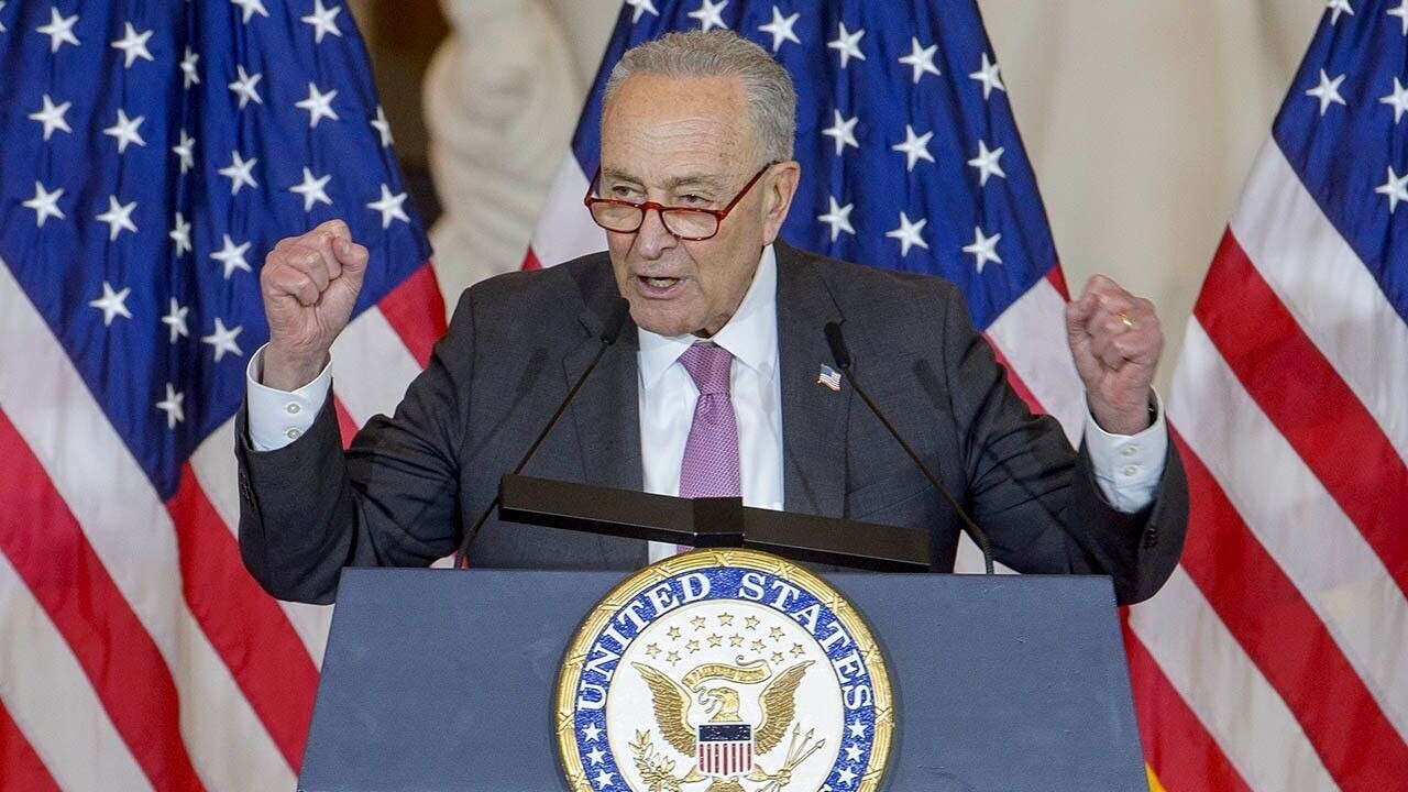 Shumer Congressman Watch Chuck Schumer inflicted 'devastating pain' on the American people ...