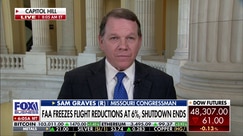 GOP congressman predicts smooth holiday season as air travel chaos eases