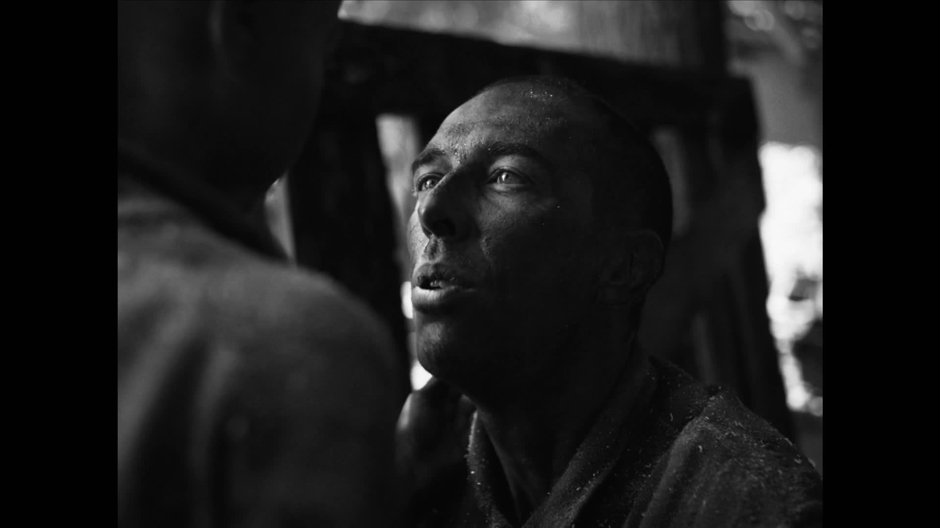 Preview: Maximilian Kolbe