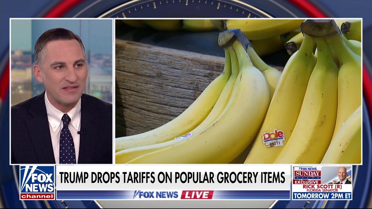 Political expert predicts grocery items ‘will get cheaper’ after Trump drops major tariffs
