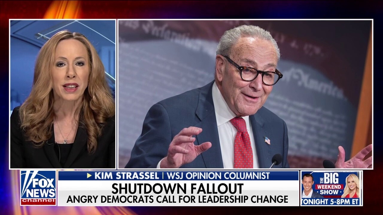 Democrats experiencing falling out in the aftermath of the government shutdown