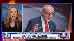 Democrats experiencing falling out in the aftermath of the government shutdown