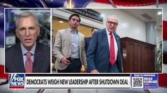 End of government shutdown leads to infighting among Democrats