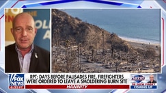 ‘This is who they are’: Steve Hilton blasts California leaders over Palisades fire response