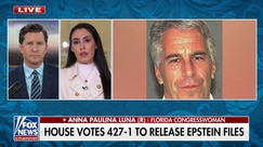 Epstein had ties to foreign intelligence, Republican claims