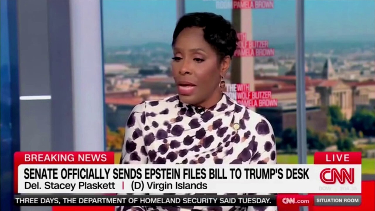 Democratic delegate justifies text exchange with Epstein, says 'you get information from people where you can'
