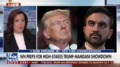 Mamdani will make NYC ‘more unaffordable and less safe,’ Stefanik argues