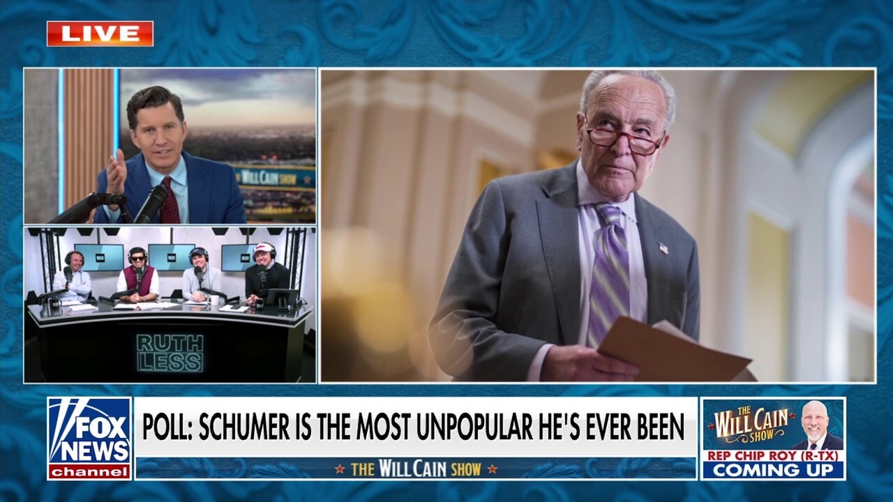 Schumer doesn't know how to 'guide' the Democratic Party: 'Ruthless Podcast' co-host