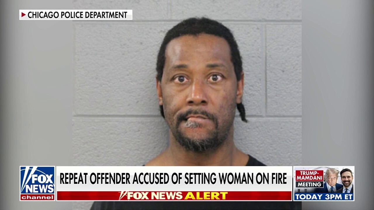 Chicago train attack suspect in court after setting woman on fire