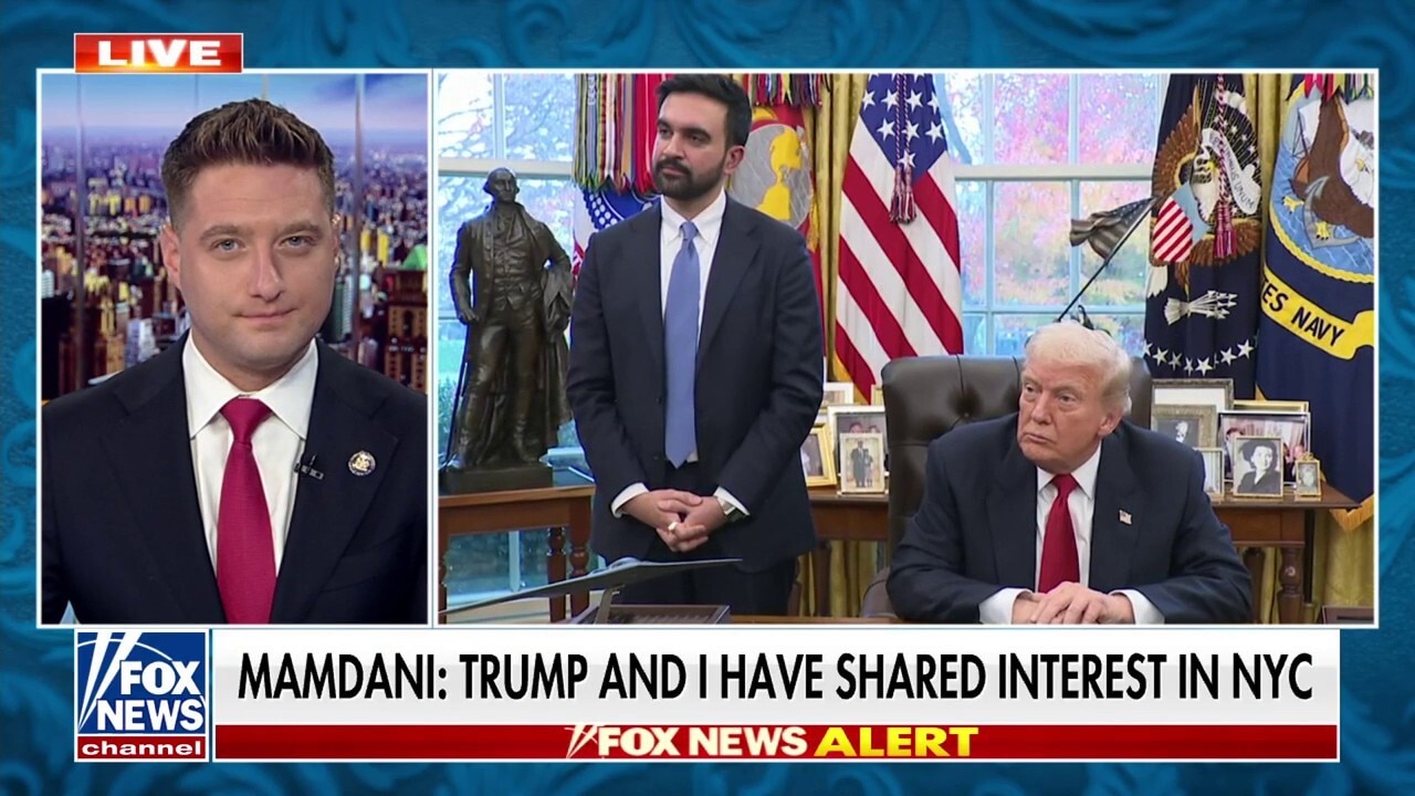 Must be 'on guard' if Mamdani's policies are as 'problematic as they have been': New York State assemblyman