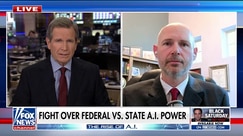 Debate stirring over federal and state responsibilities for AI