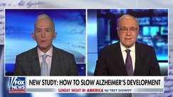 New study shows a way to slow Alzheimer's Development