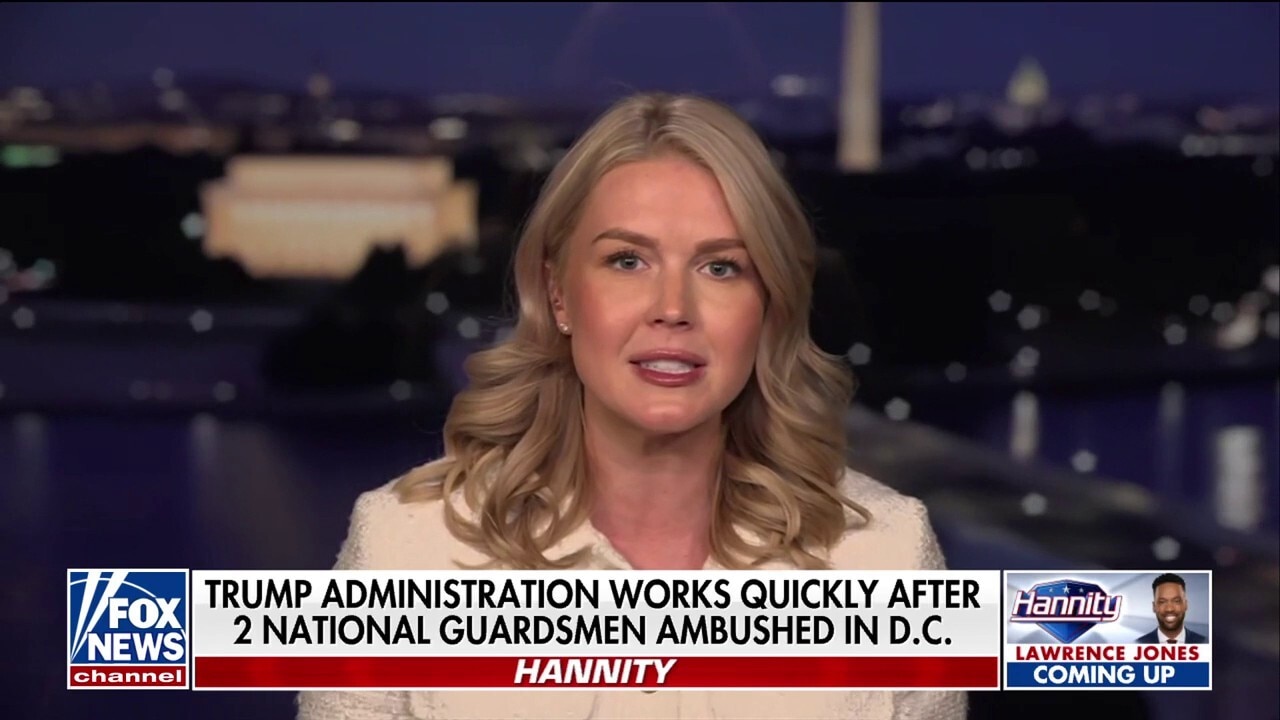 ‘We must not forget’ the threats in our country who were ‘allowed in and released in by the Biden administration’: Karoline Leavitt