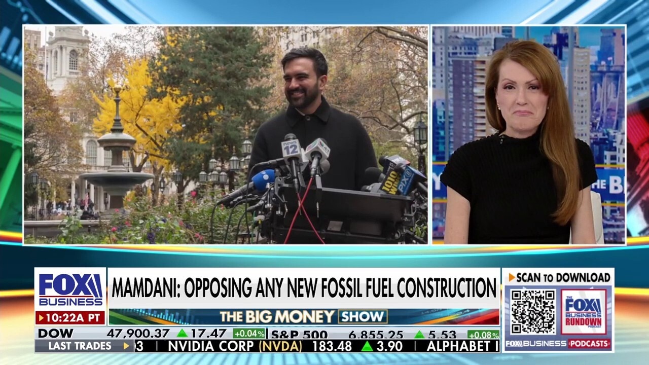  NYC ‘mayor of affordability’ Zoran Mondani blasted for opposing $1B gas pipeline