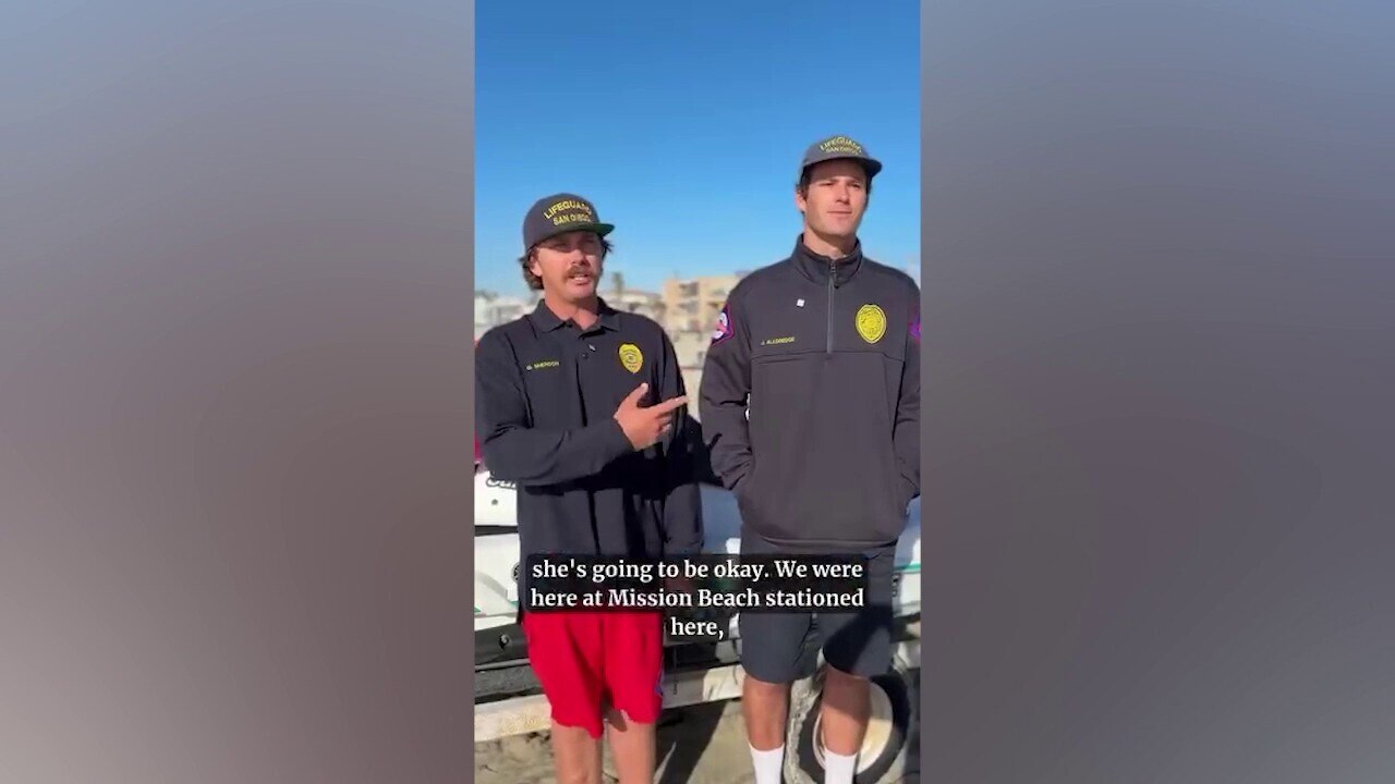 Watch Dog swept out to sea off California coast rescued by lifeguards ...