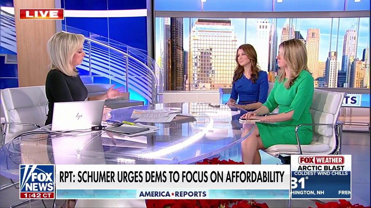 Schumer urged Democrats to hone in on affordability: Report 