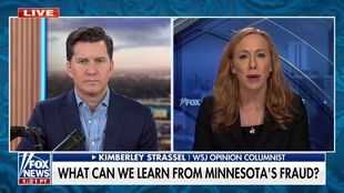 Minnesota Fraud Scandal