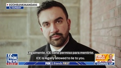 Mamdani has been 'extremely clear' with his position on immigration, former NYC councilman says