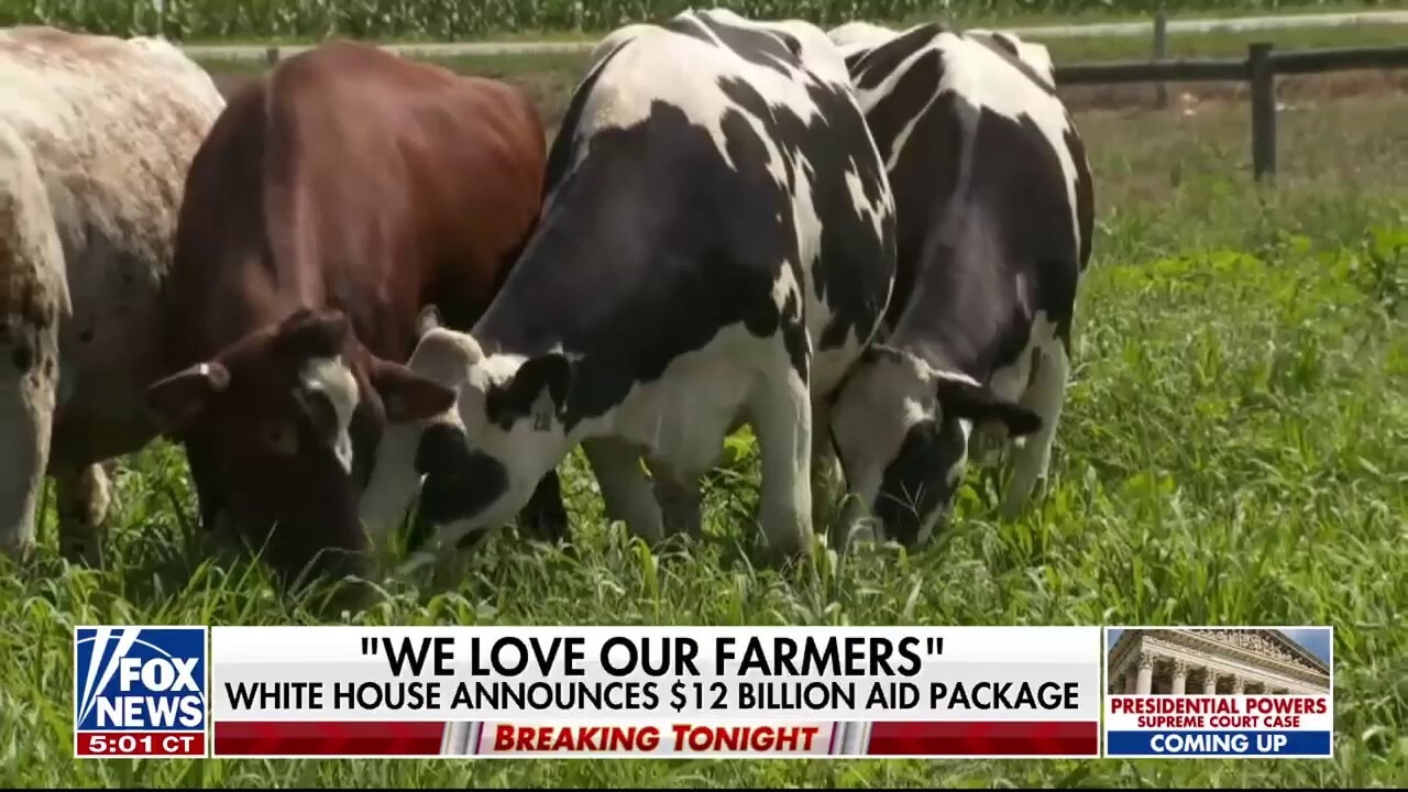 Trump admin pledges one-time payments to crop farmers struggling amid trade disputes