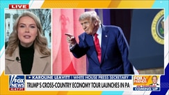 Leavitt calls out Dem 'con artists,' says economy is Trump's 'bread and butter issue'