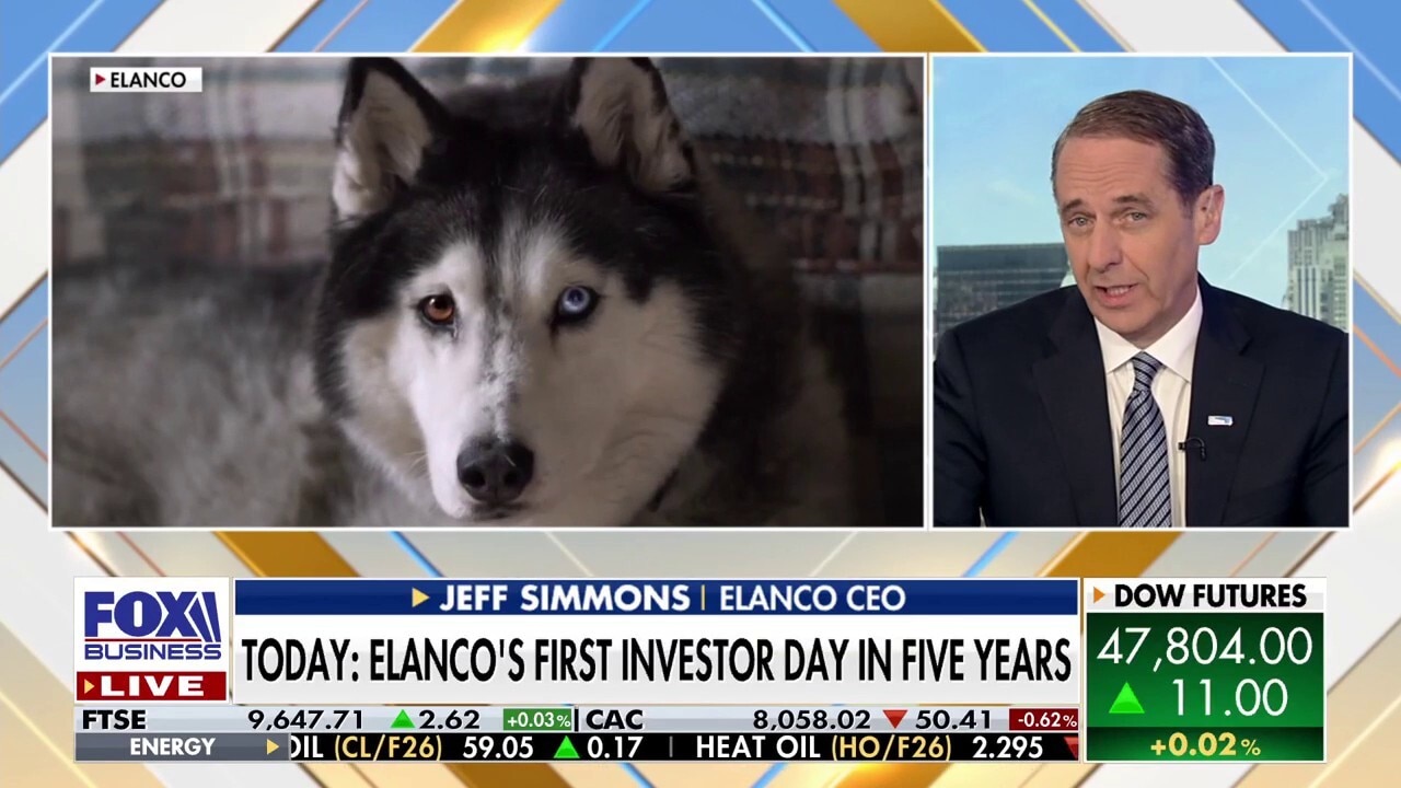 Elanco invests $400M after USDA fast-tracks new immunotherapy for pets, livestock