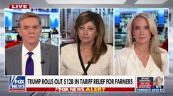 Maria Bartiromo warns the ‘inflation story’ is undermining Trump’s policies