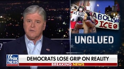 Democrats 'desperately' trying to blame Trump for the affordability crisis: Hannity