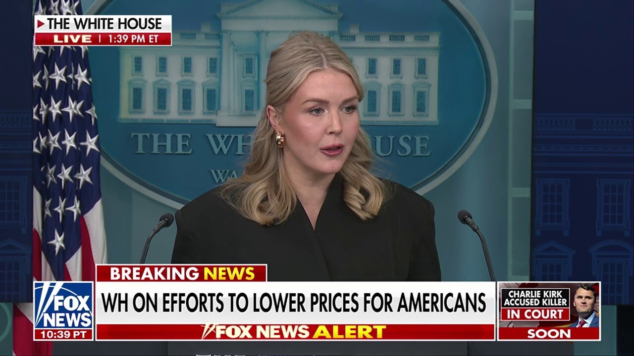 Karoline Leavitt SLAMS 'untrue narratives' about President Donald Trump