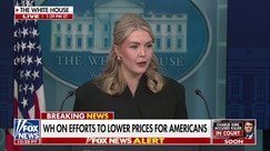 Karoline Leavitt SLAMS 'untrue narratives' about President Donald Trump