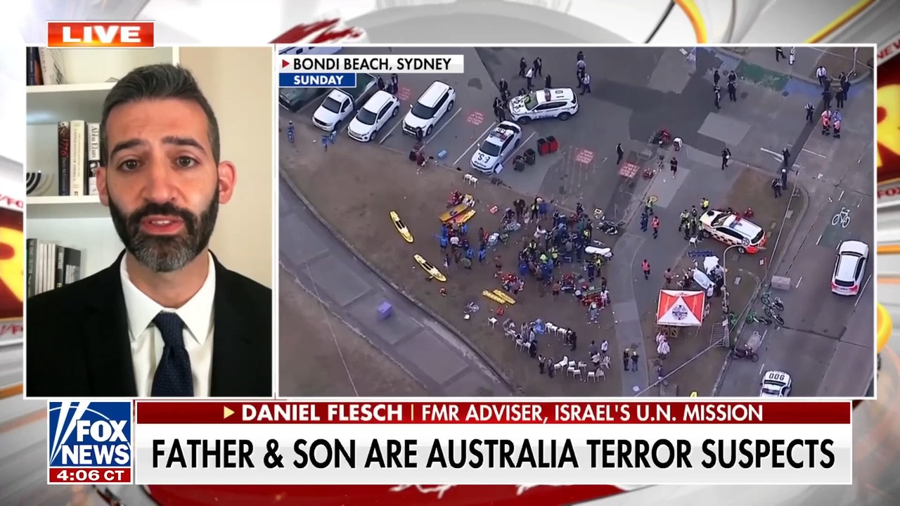 Daniel Flesch on combating antisemitism after Australia terror attack, Netanyahu's response