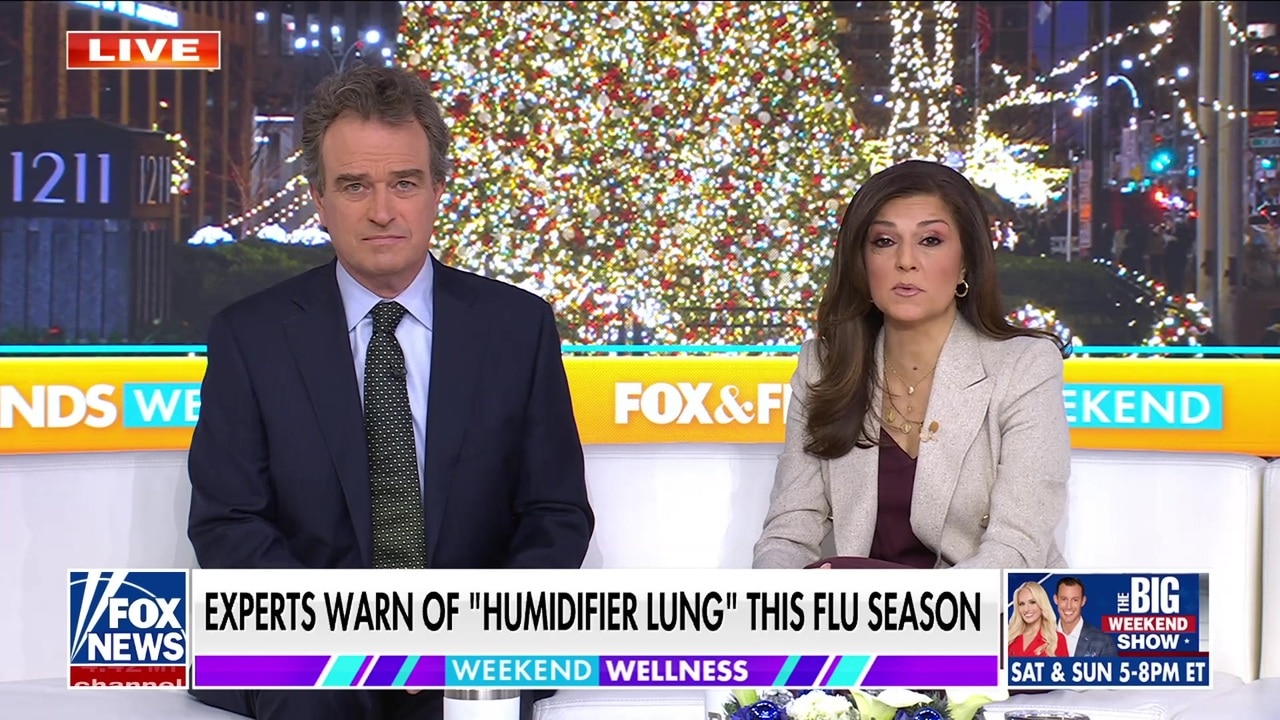 Experts warn against 'humidifier lung' this flu season