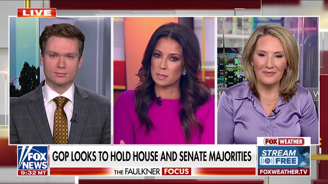 Dems are blaming Trump for not putting out the mess Biden made fast enough: Luke Ball