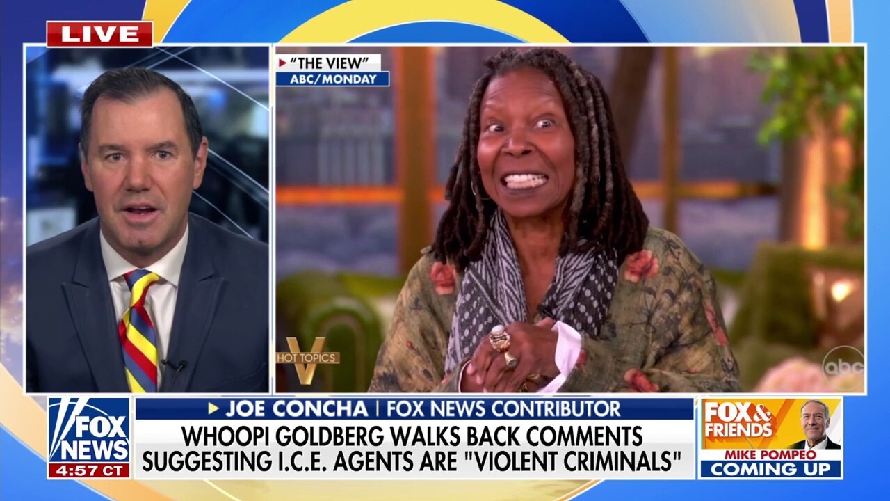Whoopi Goldberg called out for ICE agent comments: 'Crazytown has been expanded'