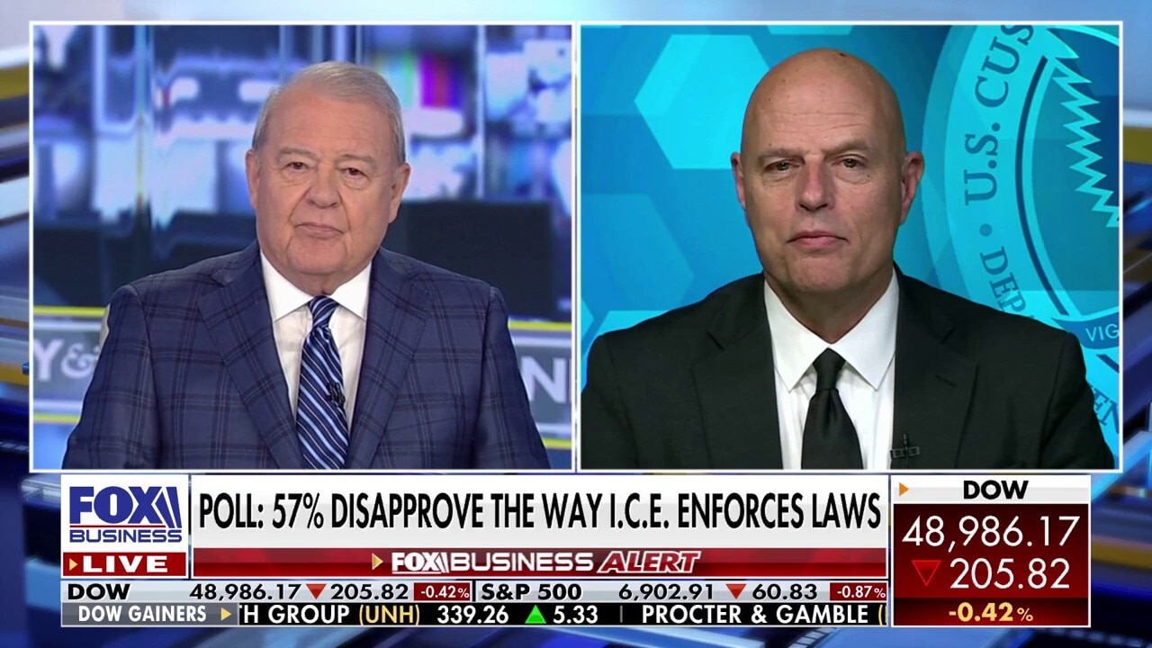  CBP adviser responds to backlash over immigration enforcement: 'Lose their nerve'