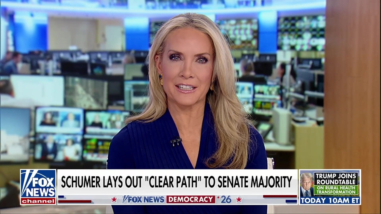 Karl Rove's 2026 midterm predictions as Schumer lays out victory strategy