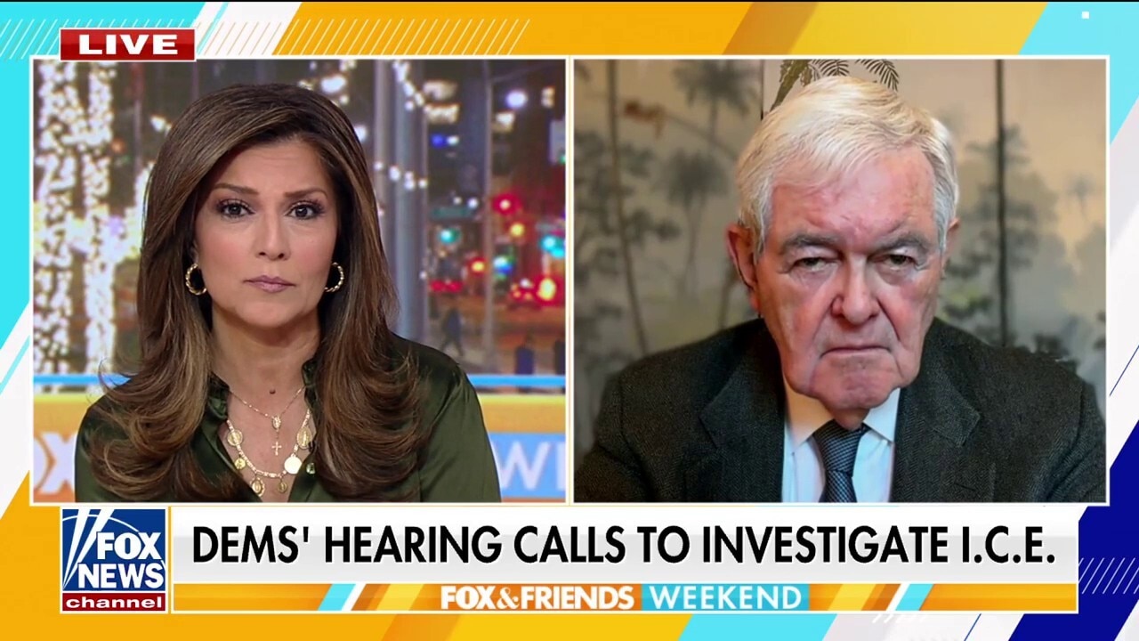 Newt Gingrich: Democrats adopted a 'pro-illegal immigration' position 'across the board