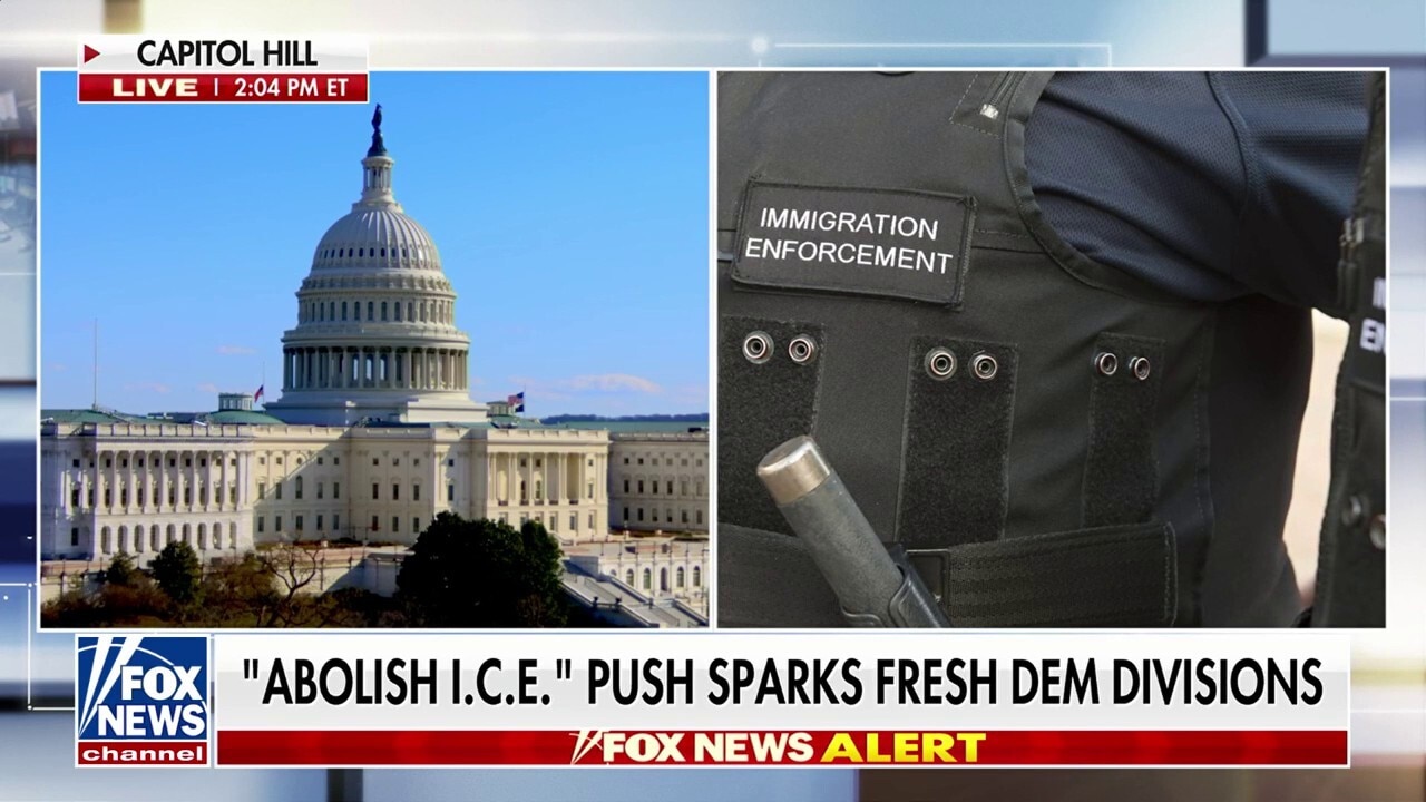 Progressives could use the 'power of the purse' to block ICE funding